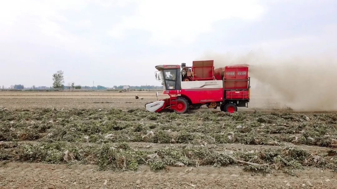 泰安東平呂新春:一小時作業(yè)十二畝 信賴中聯日進斗金 泰安東平呂新春:一小時作業(yè)十二畝 信賴中聯日進斗金(圖2)