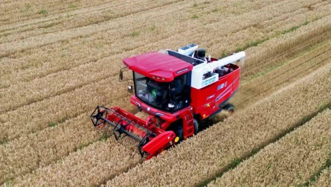 來自保定華師傅的認(rèn)可：從新疆-7到新疆-9，中聯(lián)收獲一直是我中意的品牌(圖1)