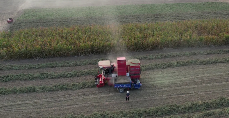 打工受限 開中聯(lián)收獲花生機無限可能 1712580632954093.png