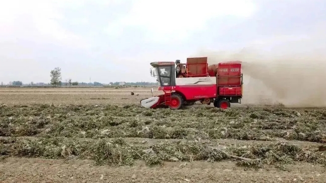 中聯(lián)收獲助力楊進(jìn)亮在滑縣白道口鎮(zhèn)實(shí)現(xiàn)高效農(nóng)業(yè) 1.png