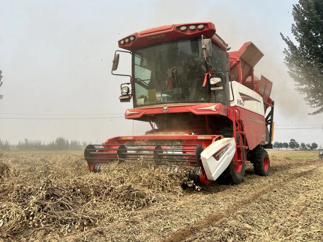 河南省鶴壁何師傅:中聯(lián)收獲花生機(jī)開(kāi)啟農(nóng)業(yè)致富新征程 1751596549489490.jpg